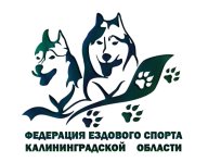 Хаски Фест Хаски Фест